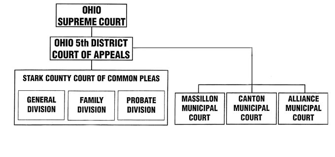 newstructure-1